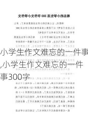 小学生作文难忘的一件事,小学生作文难忘的一件事300字-第1张图片-二喜范文网