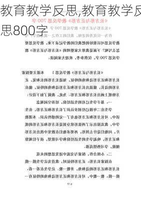 教育教学反思,教育教学反思800字-第1张图片-二喜范文网