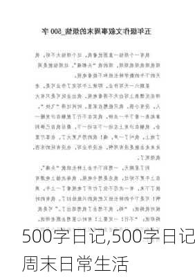 500字日记,500字日记周末日常生活-第1张图片-二喜范文网