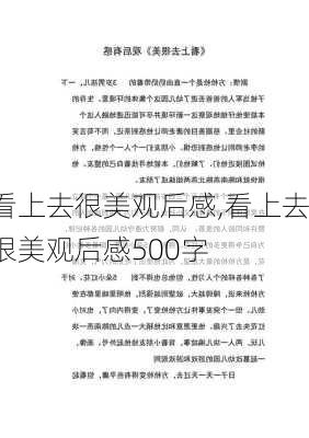 看上去很美观后感,看上去很美观后感500字-第1张图片-二喜范文网