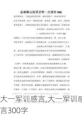 大一军训感言,大一军训感言300字-第3张图片-二喜范文网