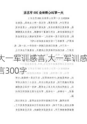 大一军训感言,大一军训感言300字-第1张图片-二喜范文网