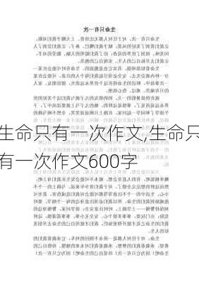 生命只有一次作文,生命只有一次作文600字-第2张图片-二喜范文网