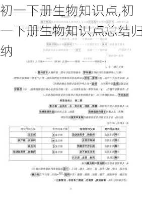 初一下册生物知识点,初一下册生物知识点总结归纳-第1张图片-二喜范文网