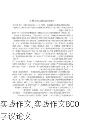 实践作文,实践作文800字议论文-第1张图片-二喜范文网