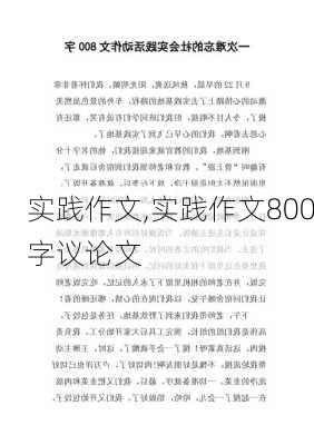 实践作文,实践作文800字议论文-第2张图片-二喜范文网