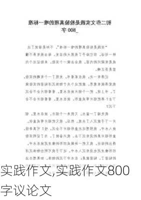 实践作文,实践作文800字议论文-第3张图片-二喜范文网