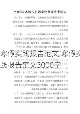 寒假实践报告范文,寒假实践报告范文3000字-第1张图片-二喜范文网