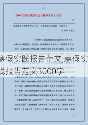 寒假实践报告范文,寒假实践报告范文3000字-第3张图片-二喜范文网