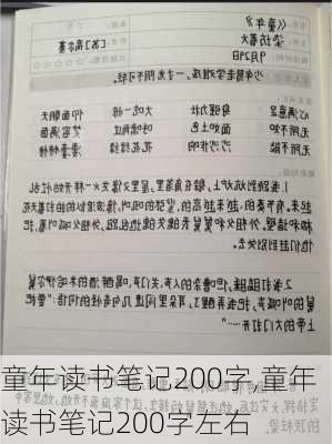 童年读书笔记200字,童年读书笔记200字左右-第2张图片-二喜范文网