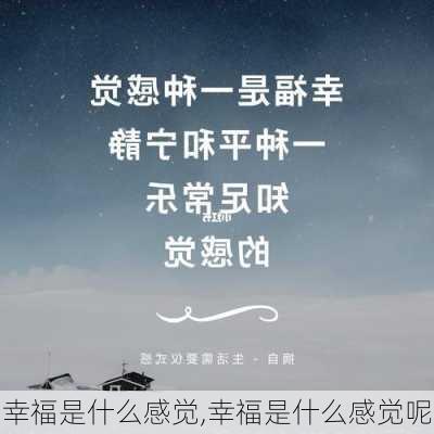 幸福是什么感觉,幸福是什么感觉呢-第3张图片-二喜范文网