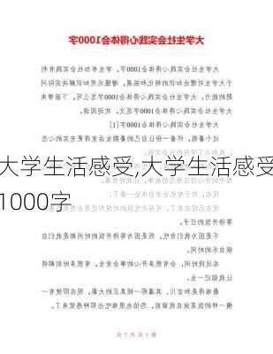 大学生活感受,大学生活感受1000字-第2张图片-二喜范文网