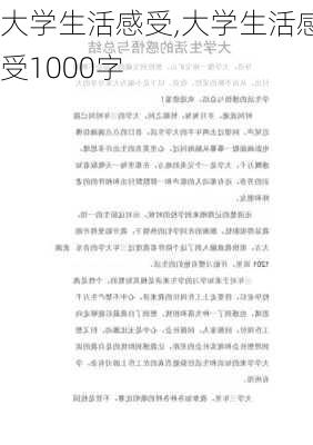 大学生活感受,大学生活感受1000字-第3张图片-二喜范文网