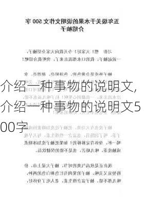 介绍一种事物的说明文,介绍一种事物的说明文500字-第1张图片-二喜范文网