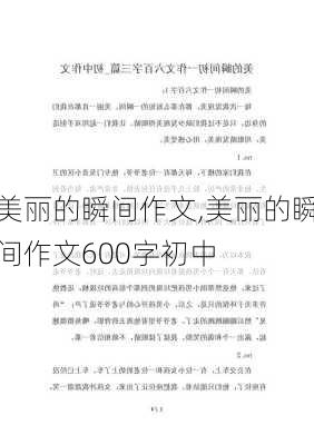 美丽的瞬间作文,美丽的瞬间作文600字初中-第2张图片-二喜范文网