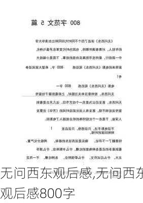 无问西东观后感,无问西东观后感800字