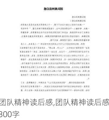 团队精神读后感,团队精神读后感300字-第3张图片-二喜范文网