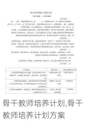 骨干教师培养计划,骨干教师培养计划方案-第2张图片-二喜范文网