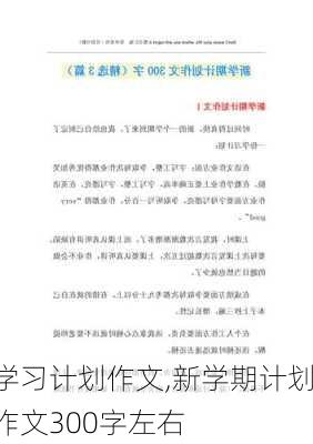 学习计划作文,新学期计划作文300字左右-第2张图片-二喜范文网