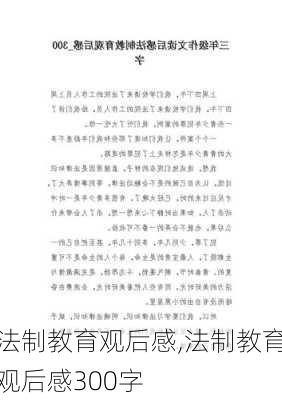 法制教育观后感,法制教育观后感300字-第2张图片-二喜范文网