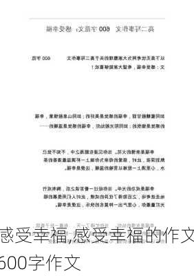 感受幸福,感受幸福的作文600字作文-第2张图片-二喜范文网