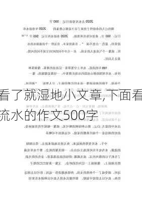 看了就湿地小文章,下面看流水的作文500字-第1张图片-二喜范文网