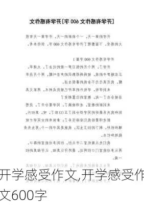 开学感受作文,开学感受作文600字-第1张图片-二喜范文网