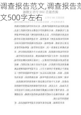 调查报告范文,调查报告范文500字左右-第1张图片-二喜范文网