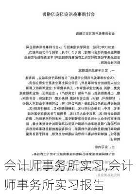 会计师事务所实习,会计师事务所实习报告-第1张图片-二喜范文网