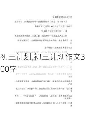 初三计划,初三计划作文300字