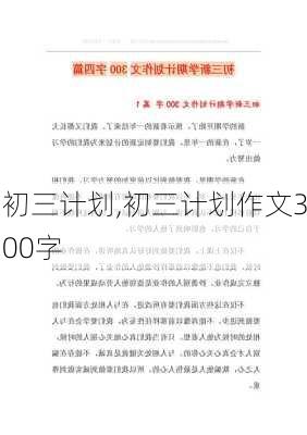 初三计划,初三计划作文300字-第2张图片-二喜范文网