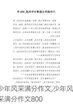 少年风采满分作文,少年风采满分作文800-第2张图片-二喜范文网