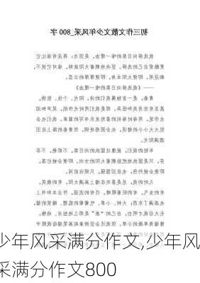 少年风采满分作文,少年风采满分作文800-第1张图片-二喜范文网