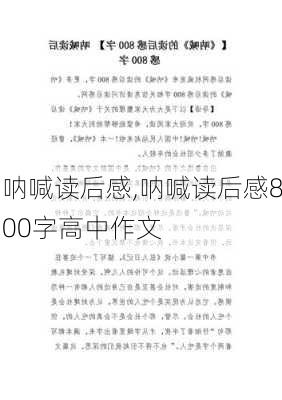 呐喊读后感,呐喊读后感800字高中作文-第1张图片-二喜范文网