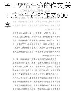 关于感悟生命的作文,关于感悟生命的作文600字-第2张图片-二喜范文网