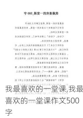 我最喜欢的一堂课,我最喜欢的一堂课作文500字-第1张图片-二喜范文网