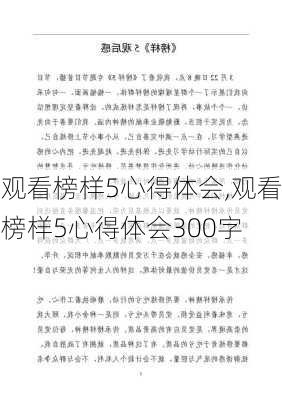 观看榜样5心得体会,观看榜样5心得体会300字-第1张图片-二喜范文网