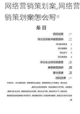 网络营销策划案,网络营销策划案怎么写-第3张图片-二喜范文网