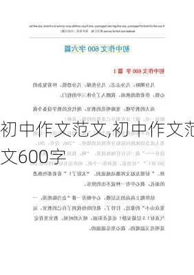 初中作文范文,初中作文范文600字-第1张图片-二喜范文网