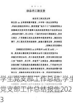 学生党支部工作总结,学生党支部工作总结报告2023-第1张图片-二喜范文网