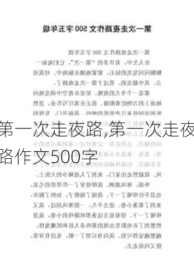 第一次走夜路,第一次走夜路作文500字-第1张图片-二喜范文网