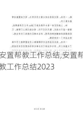 安置帮教工作总结,安置帮教工作总结2023-第3张图片-二喜范文网