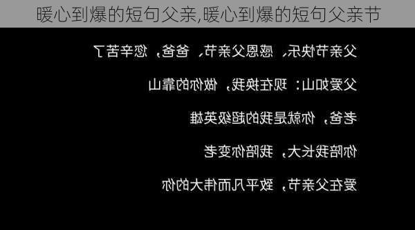 暖心到爆的短句父亲,暖心到爆的短句父亲节