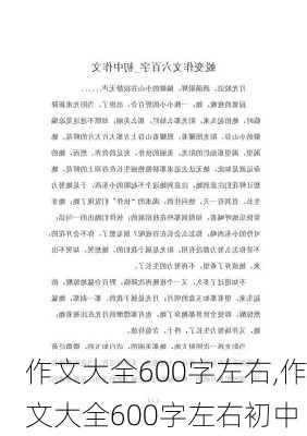 作文大全600字左右,作文大全600字左右初中-第2张图片-二喜范文网