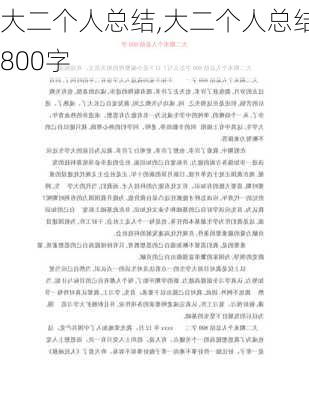 大二个人总结,大二个人总结800字-第3张图片-二喜范文网