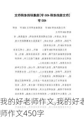 我的好老师作文,我的好老师作文450字-第2张图片-二喜范文网