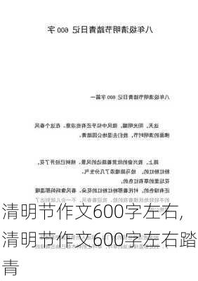 清明节作文600字左右,清明节作文600字左右踏青-第1张图片-二喜范文网