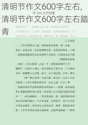 清明节作文600字左右,清明节作文600字左右踏青-第3张图片-二喜范文网