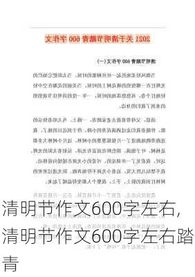 清明节作文600字左右,清明节作文600字左右踏青-第2张图片-二喜范文网