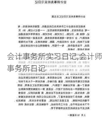 会计事务所实习日记,会计师事务所日记-第3张图片-二喜范文网